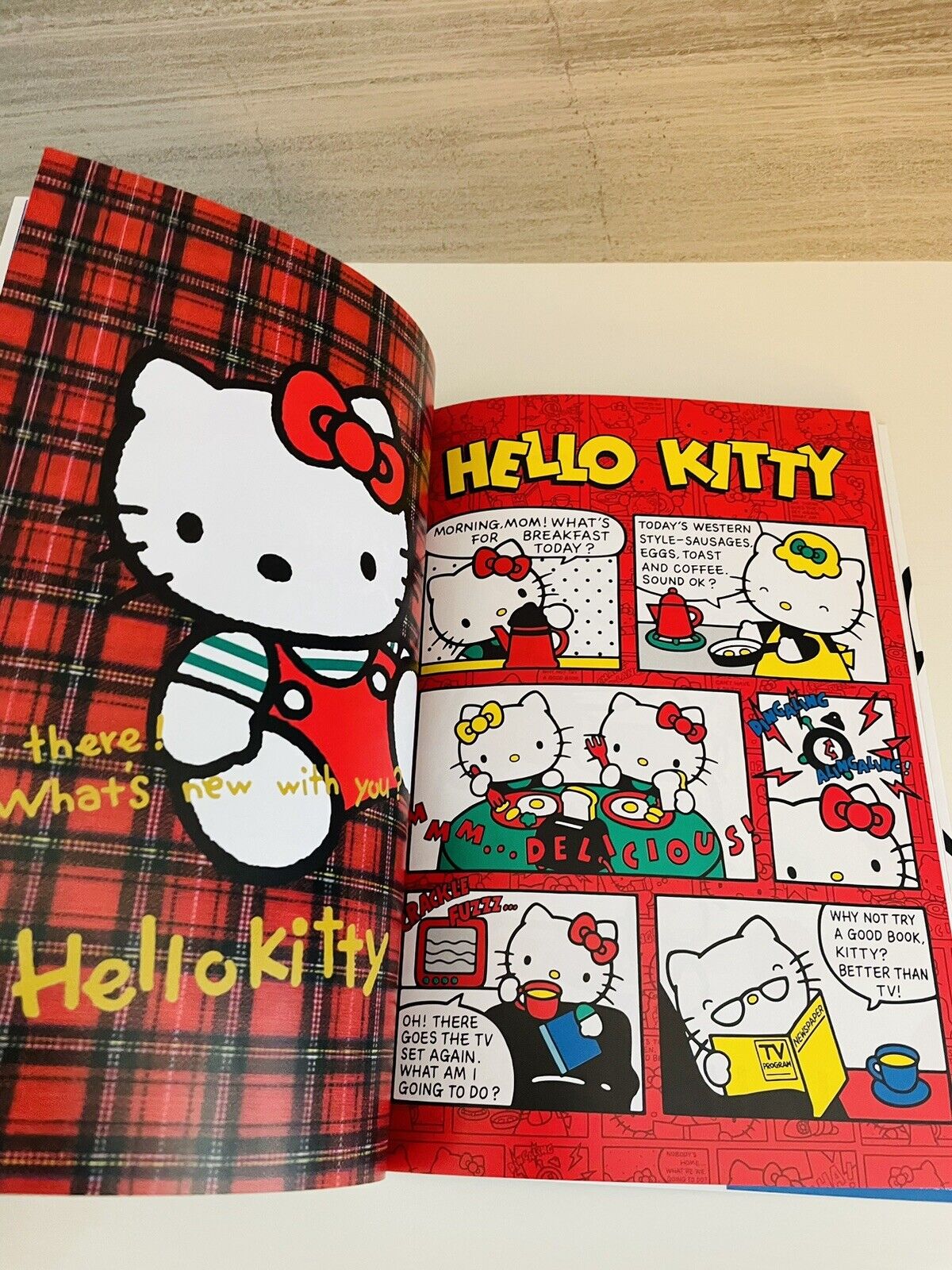 HELLO KITTY ART COLLECTION 50th Anniversary official art book from Japan 2024