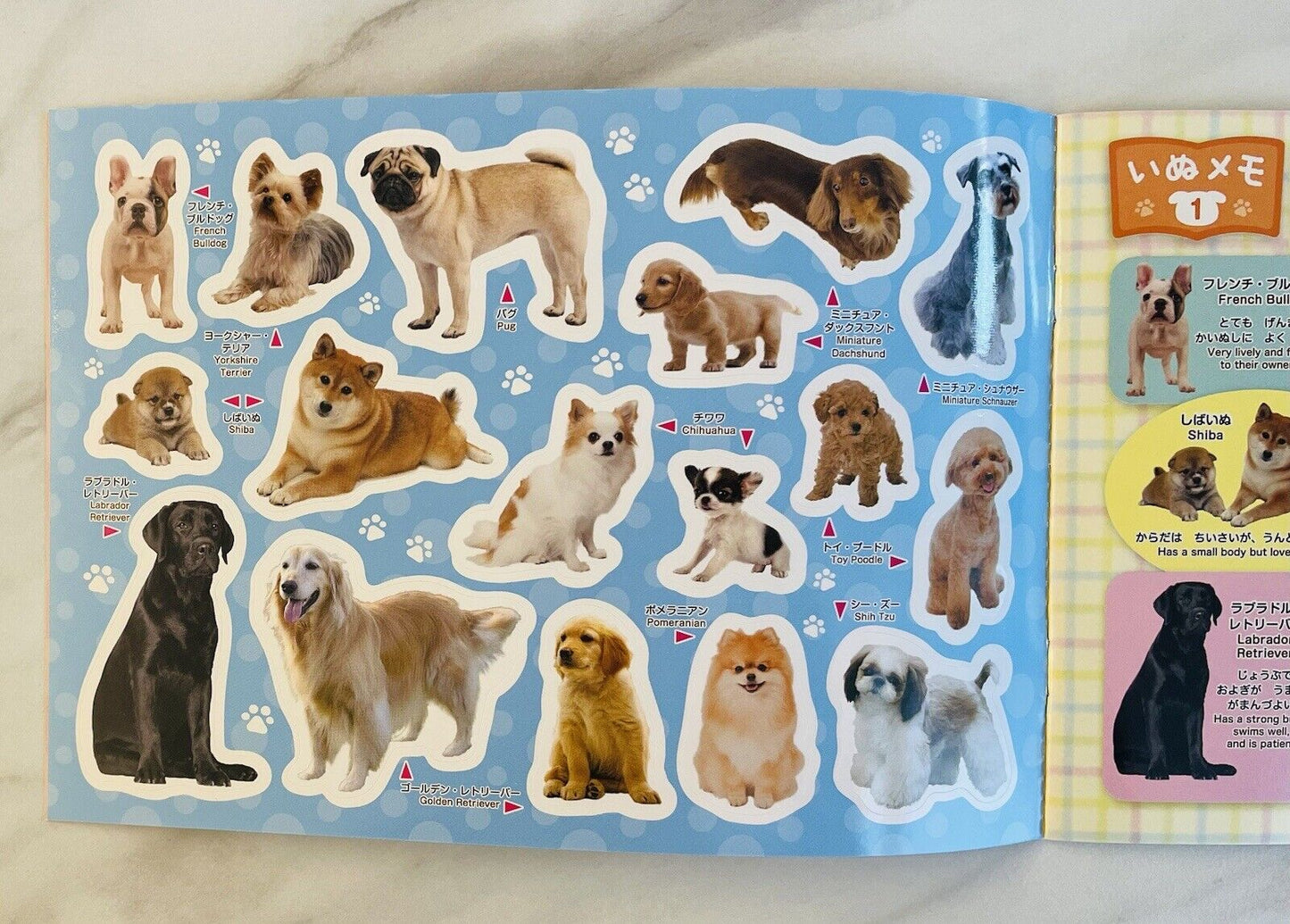 Dogs and Cats Sticker Book Activity Book for Kids from Japan