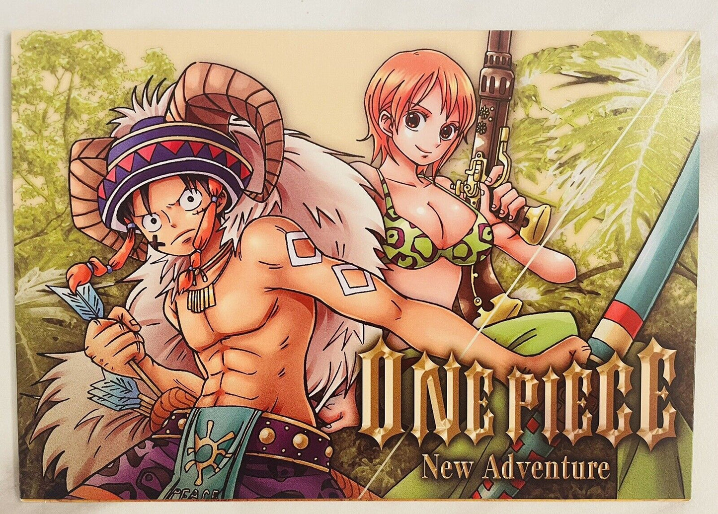 ONE PIECE file folder and a big card/Rare/from Japan