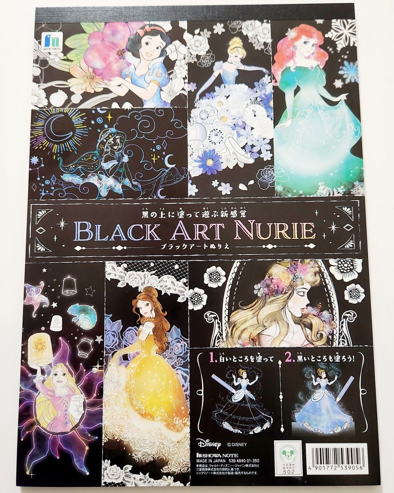 Disney Princess Coloring Book/Black Art Nurie Version/B5 Size/Japanese Edition