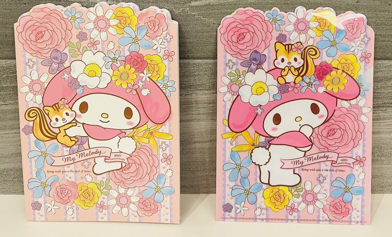 My Melody notebook and folder.so cute♡rare.