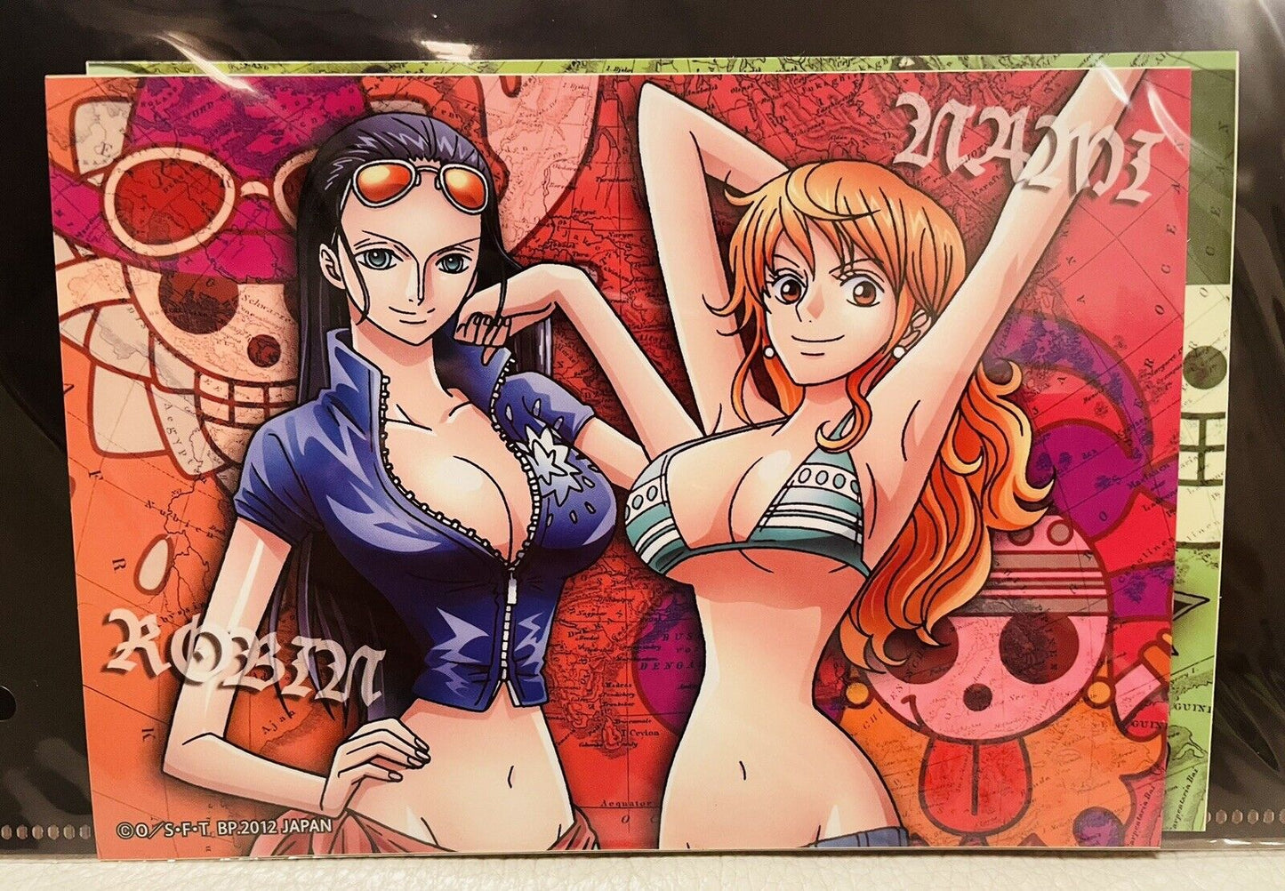 ONE PIECE File Folders Nico Robin and Nami,Sanji and Zoro.2 pieces.A4 Size