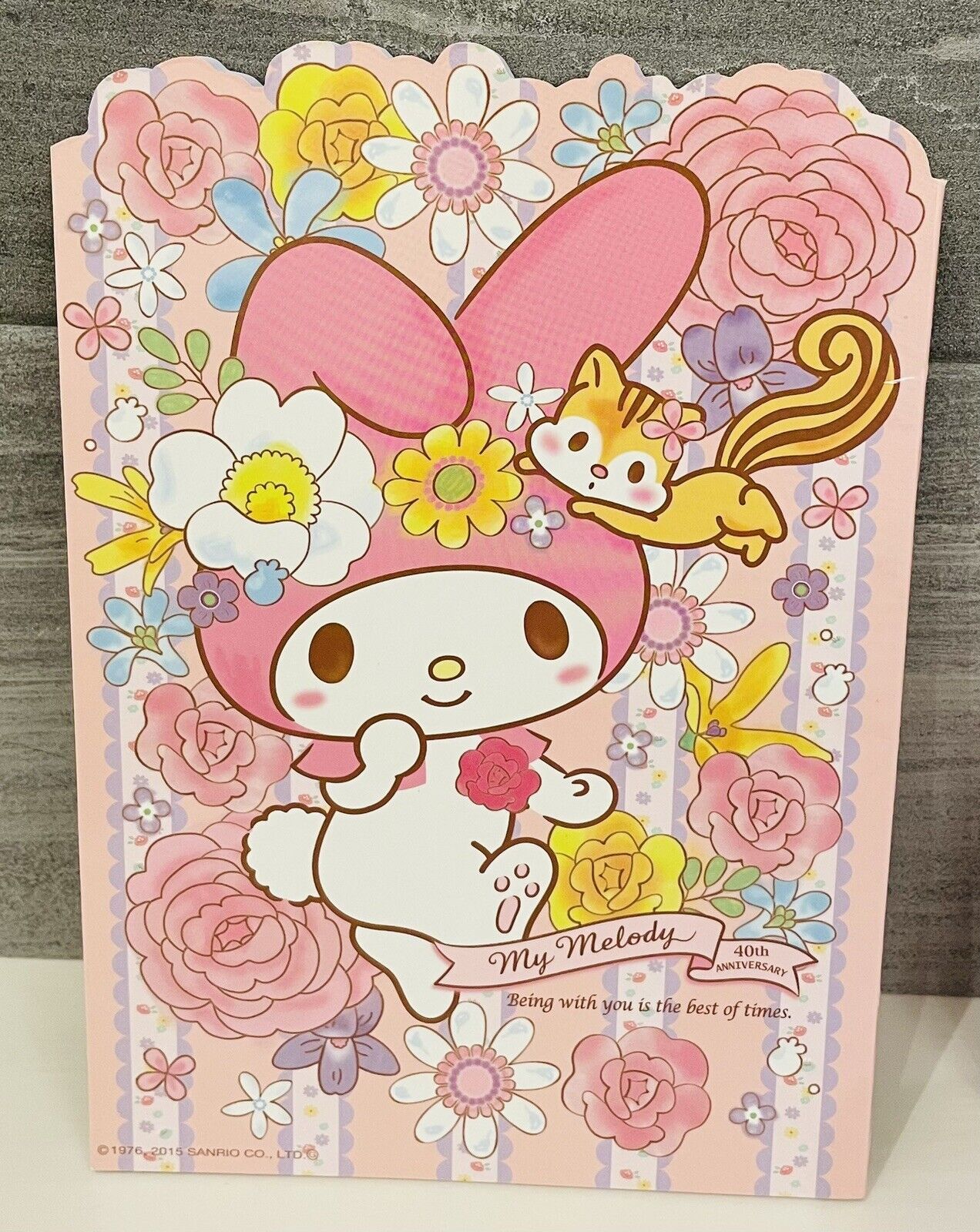 My Melody notebook and folder.so cute♡rare.