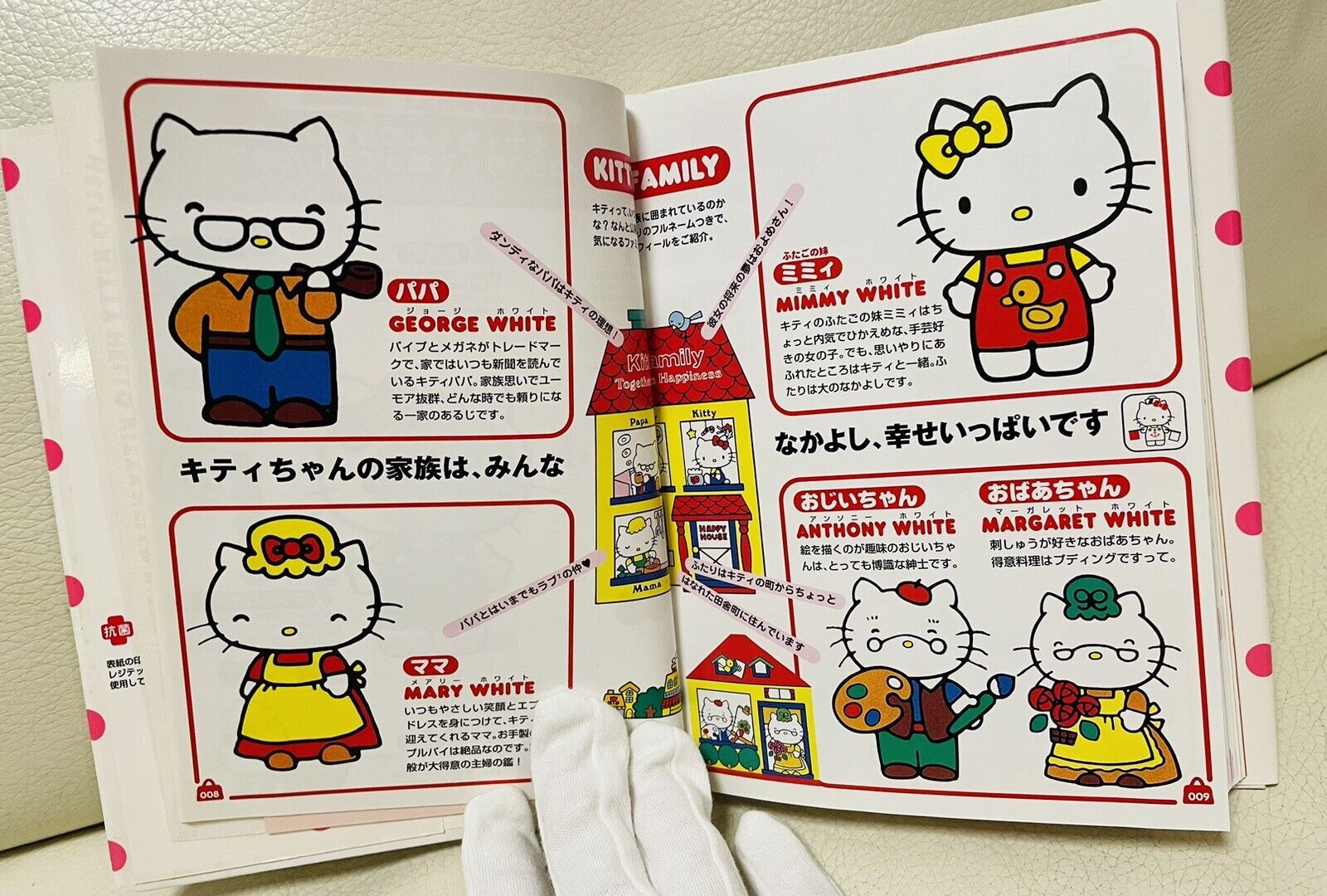 Hello Kitty Book,My Kitty,1997,Good Condition