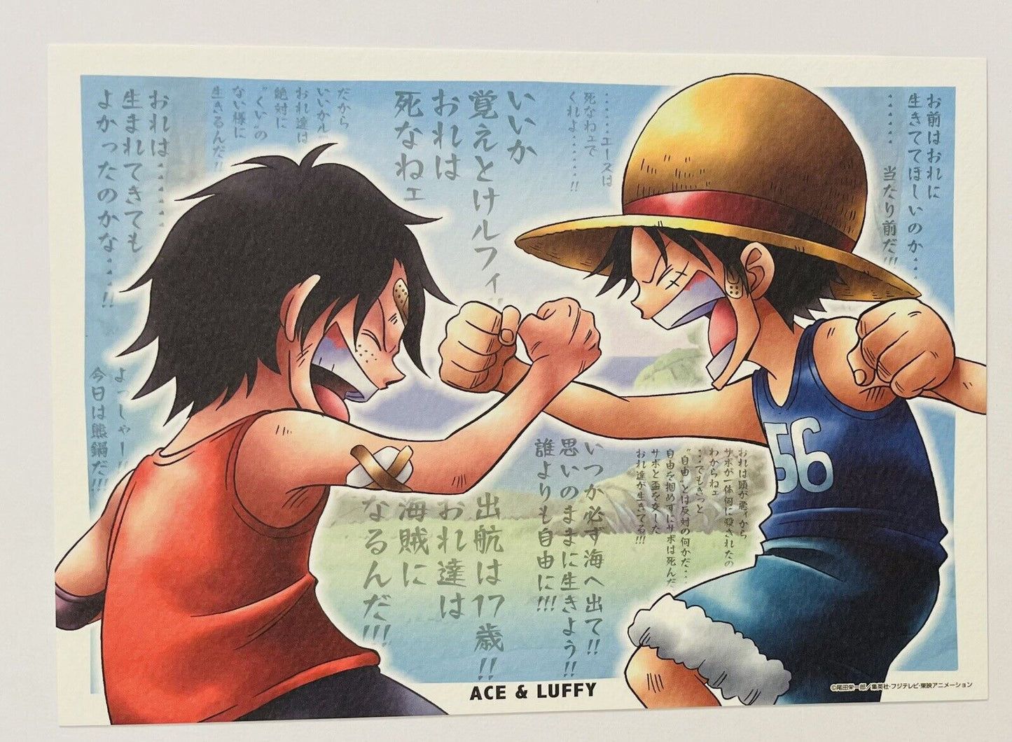 ONE PIECE file folder and a big card/2011/Rare/from Japan/Luffy and Ace